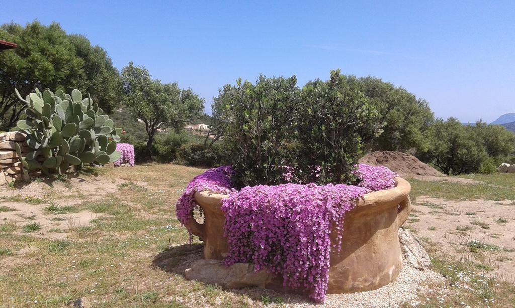 Stazzu Gallurese Villa Portisco Dış mekan fotoğraf